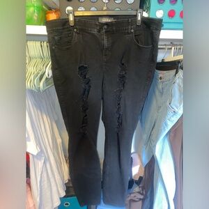 Torrid Jeans